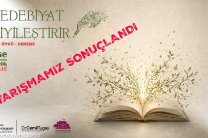 Edebiyat İyileştirir Yarışmasının Kazananları Açıklandı